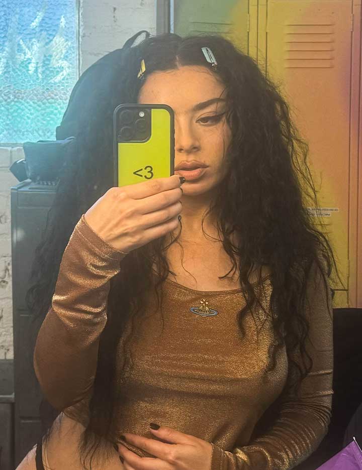 Charli XCX iPhone 18 Pro Max Case – Wildflower Cases