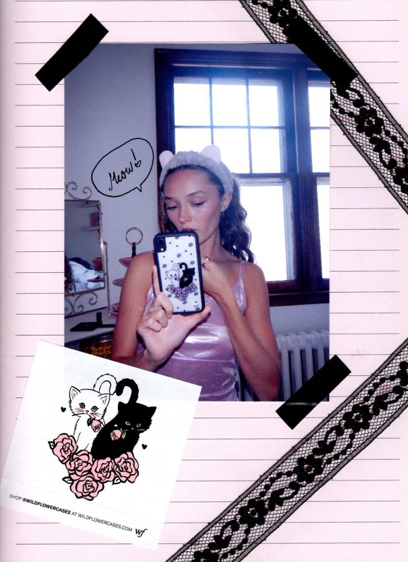 Supporting Image 03 Kittens iPhone Case