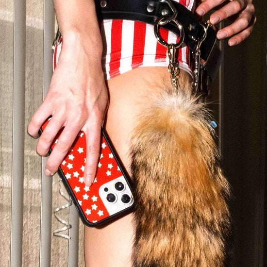 Supporting Image 03 National Anthem iPhone Case