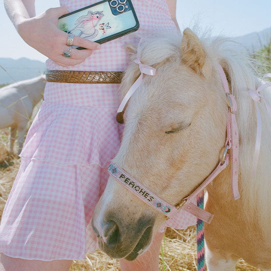 wildflower precious pony iphone 14promax case