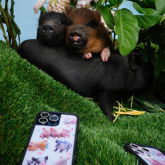 Supporting Image 04 Little Piggies iPhone Case