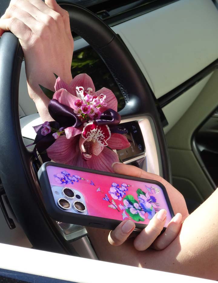 Supporting Image 05 Butterfly Dreams iPhone Case