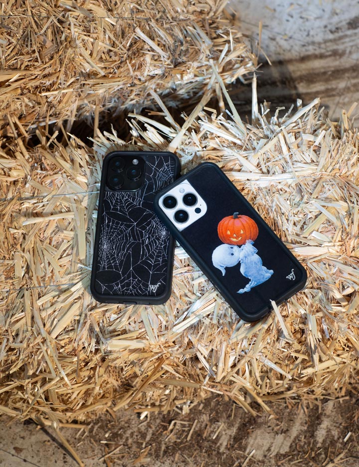 Supporting Image 05 Itsy Bitsy Spider iPhone Case