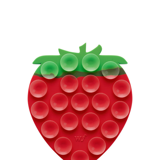 Wildflower MagSafe Strawberry Stickeez