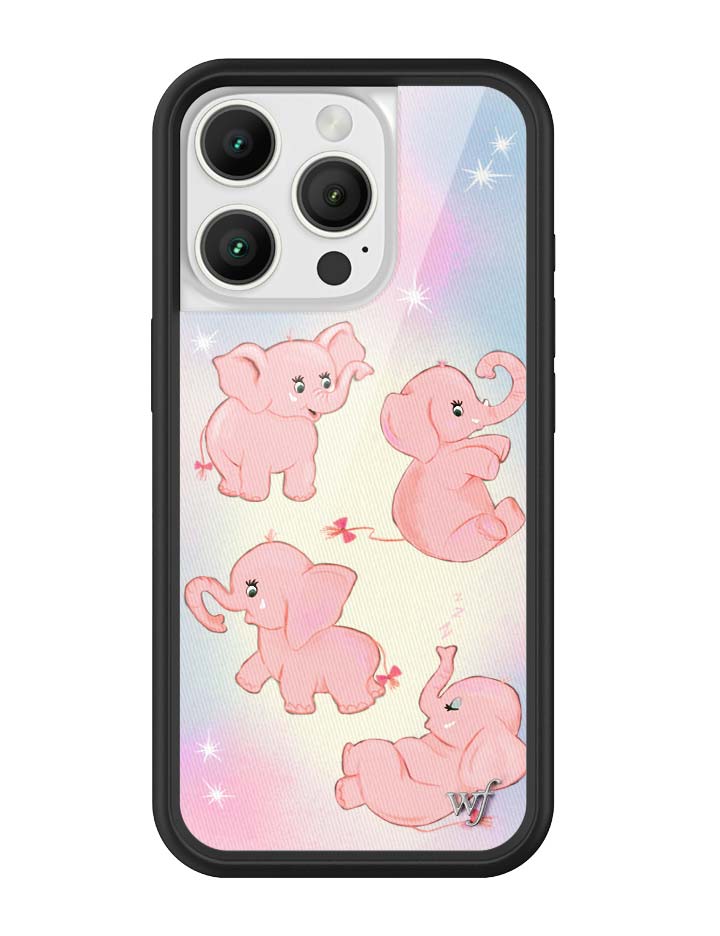 iPhone 16 Pro Cases – Wildflower Cases