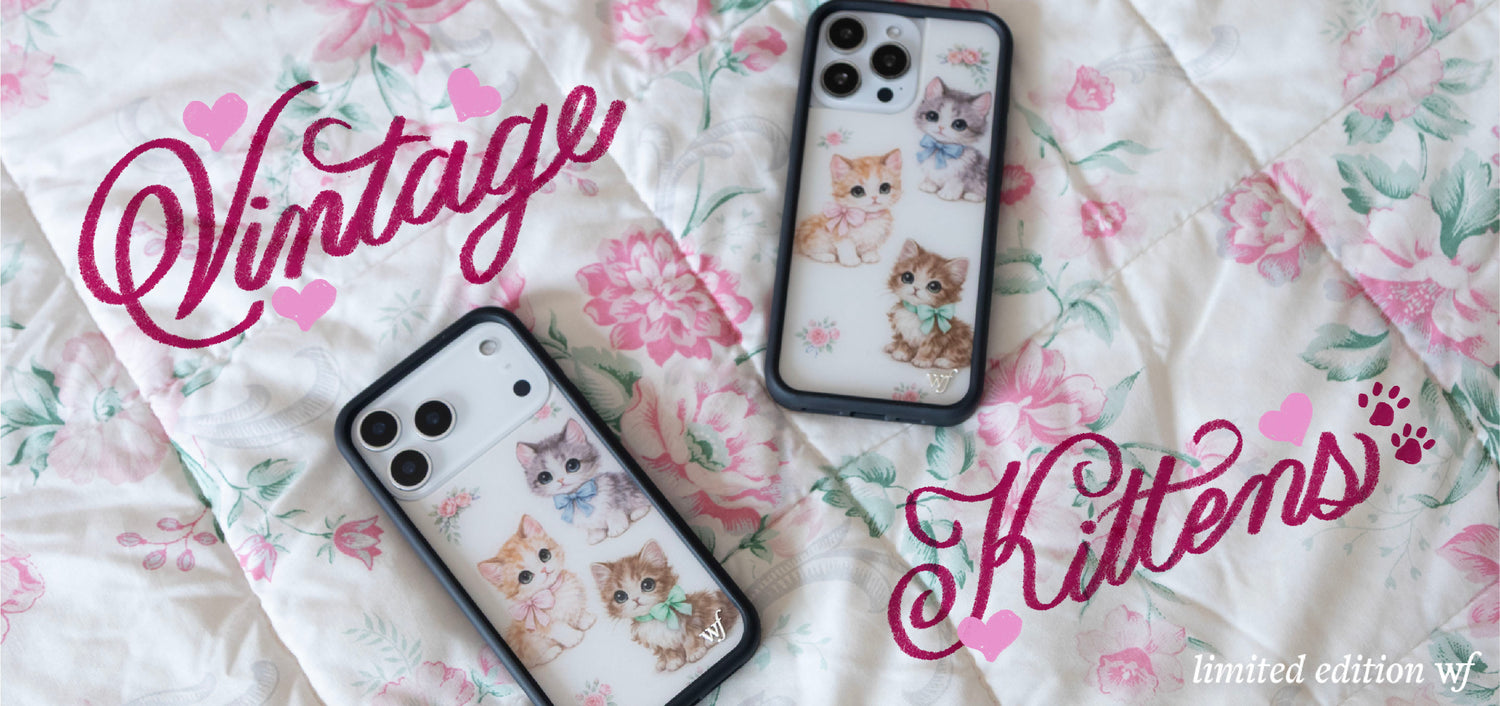 wildflower cases vintage kittens release banner